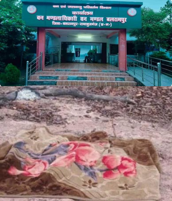 news banner