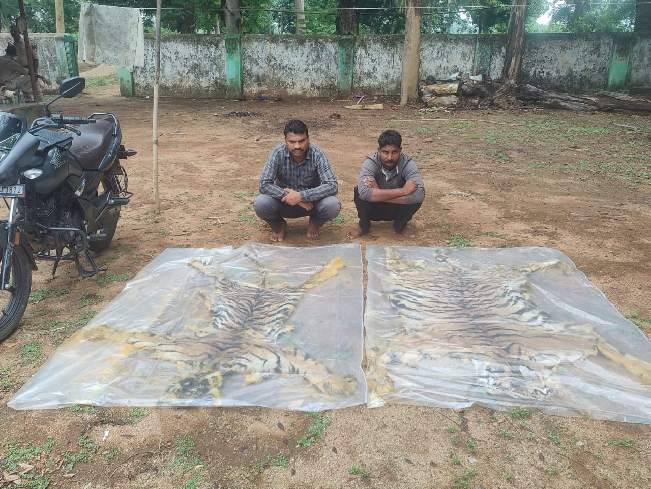 news banner