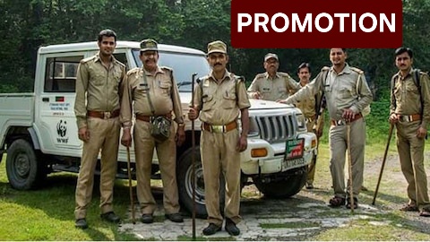 news banner